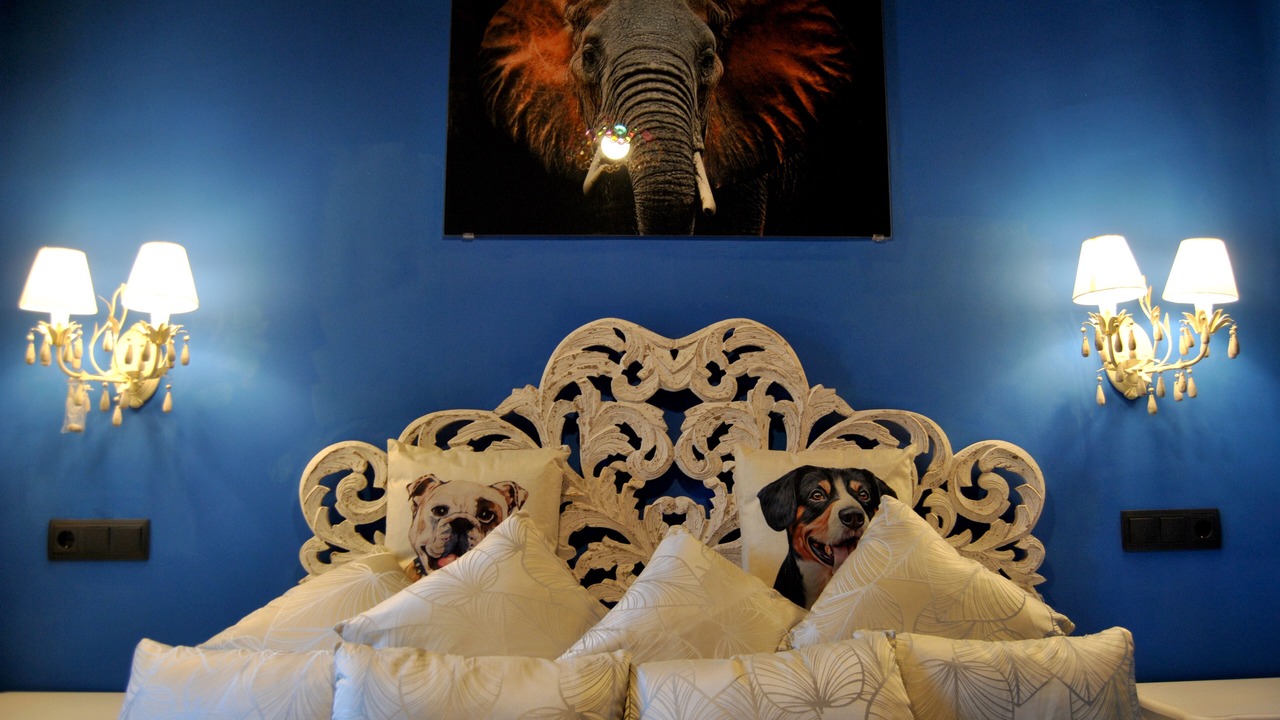 Photo of Bedroom in Collado Mediano