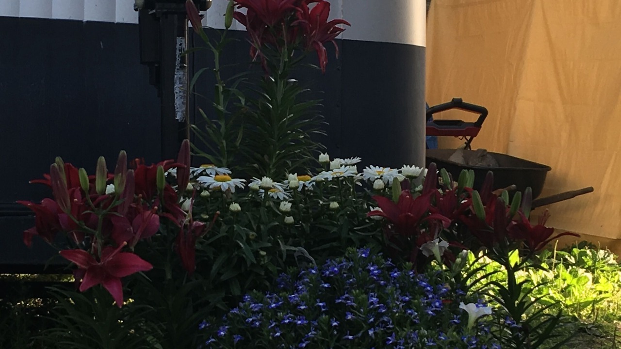 Photo of Outdoor in Medford