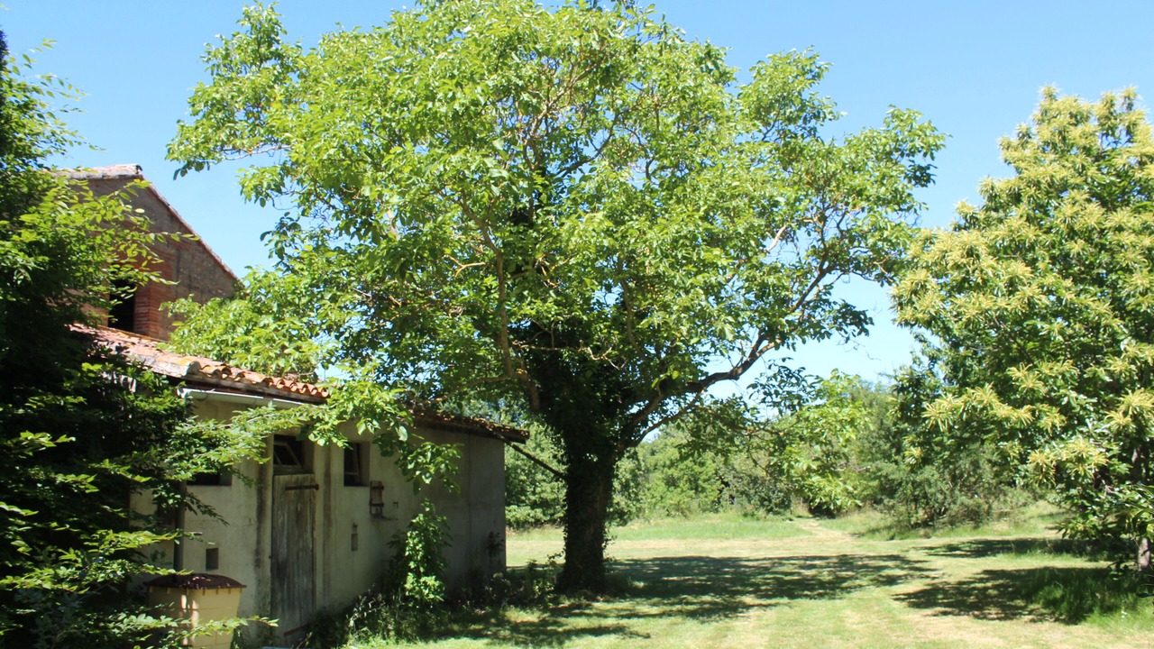 Photo of Outdoor in Saverdun