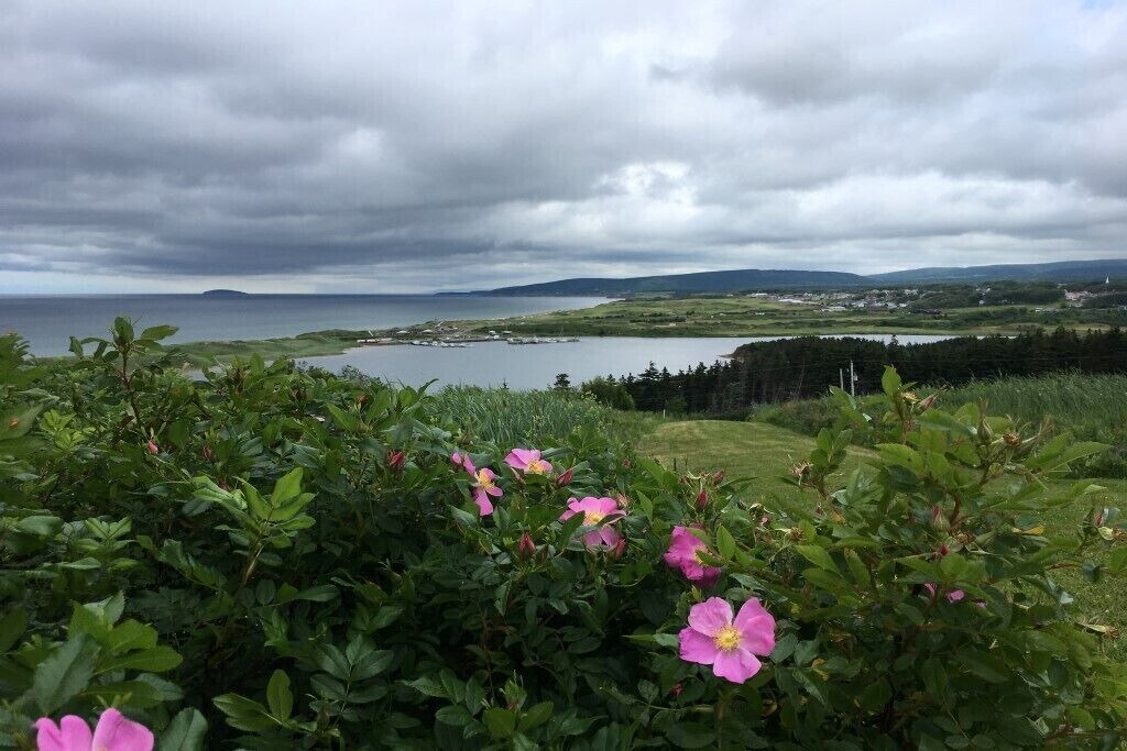Photo of Outdoor in Inverness