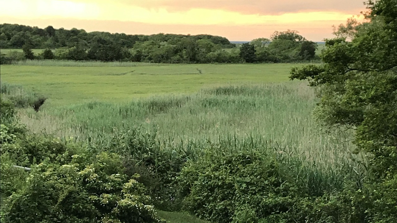 Photo of Others in Brewster