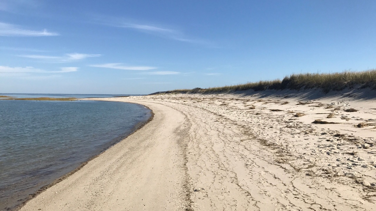 Photo of Others in Brewster