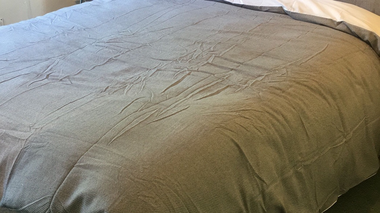 Photo of Bedroom in South Harrow