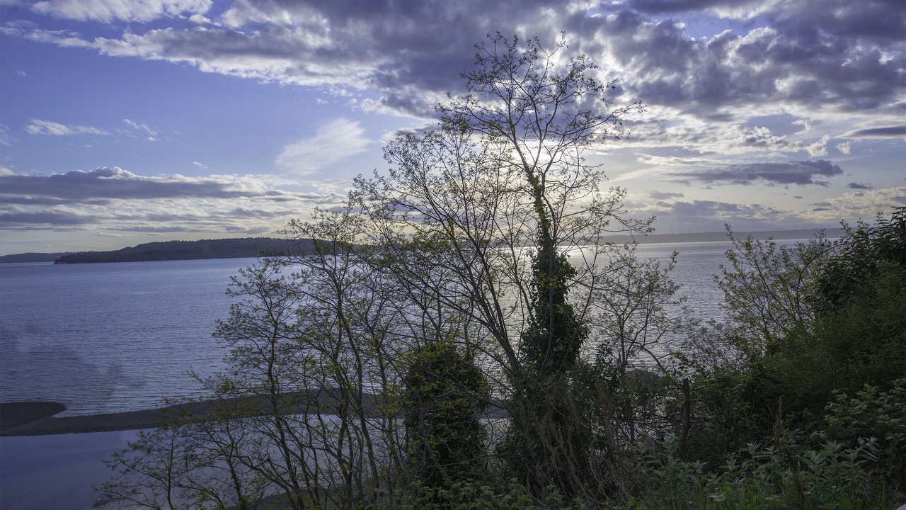 Photo of Others in Des Moines