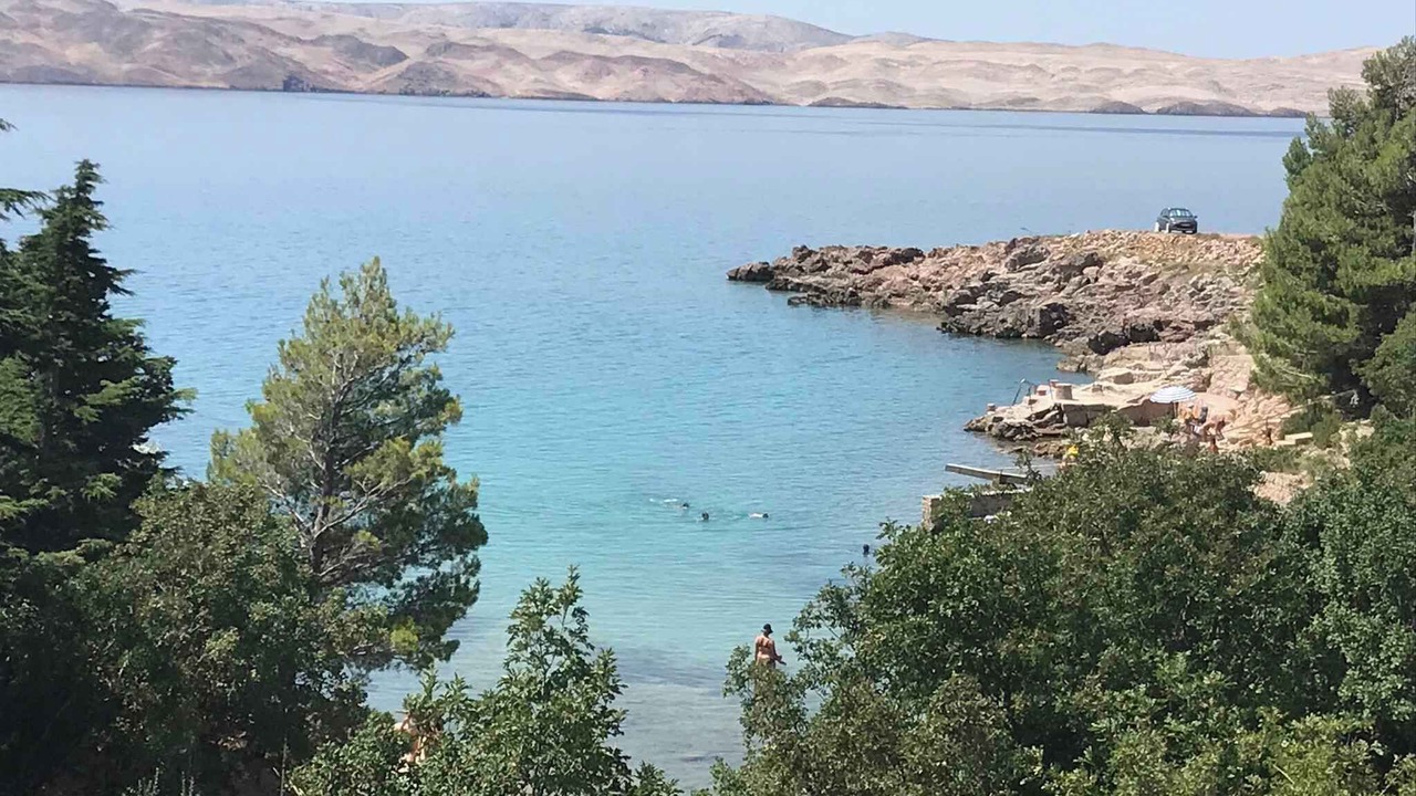 Photo of Others in Ribarica