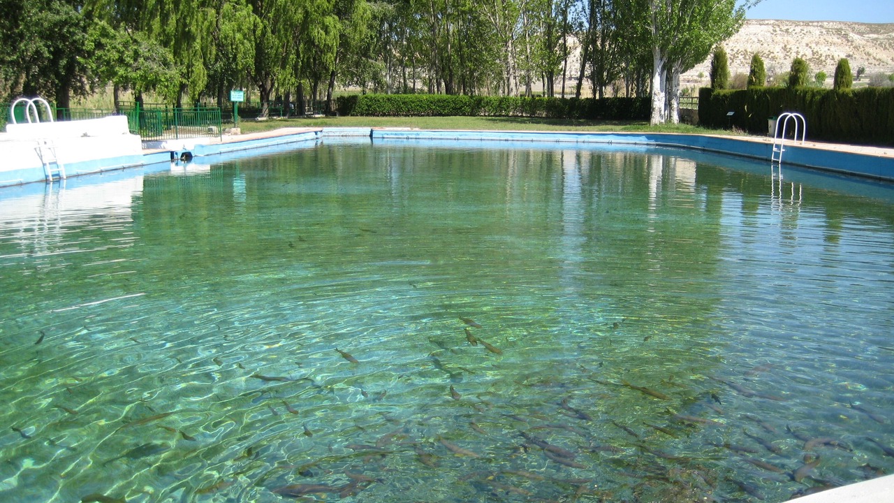 Photo of Outdoor in La Alqueria