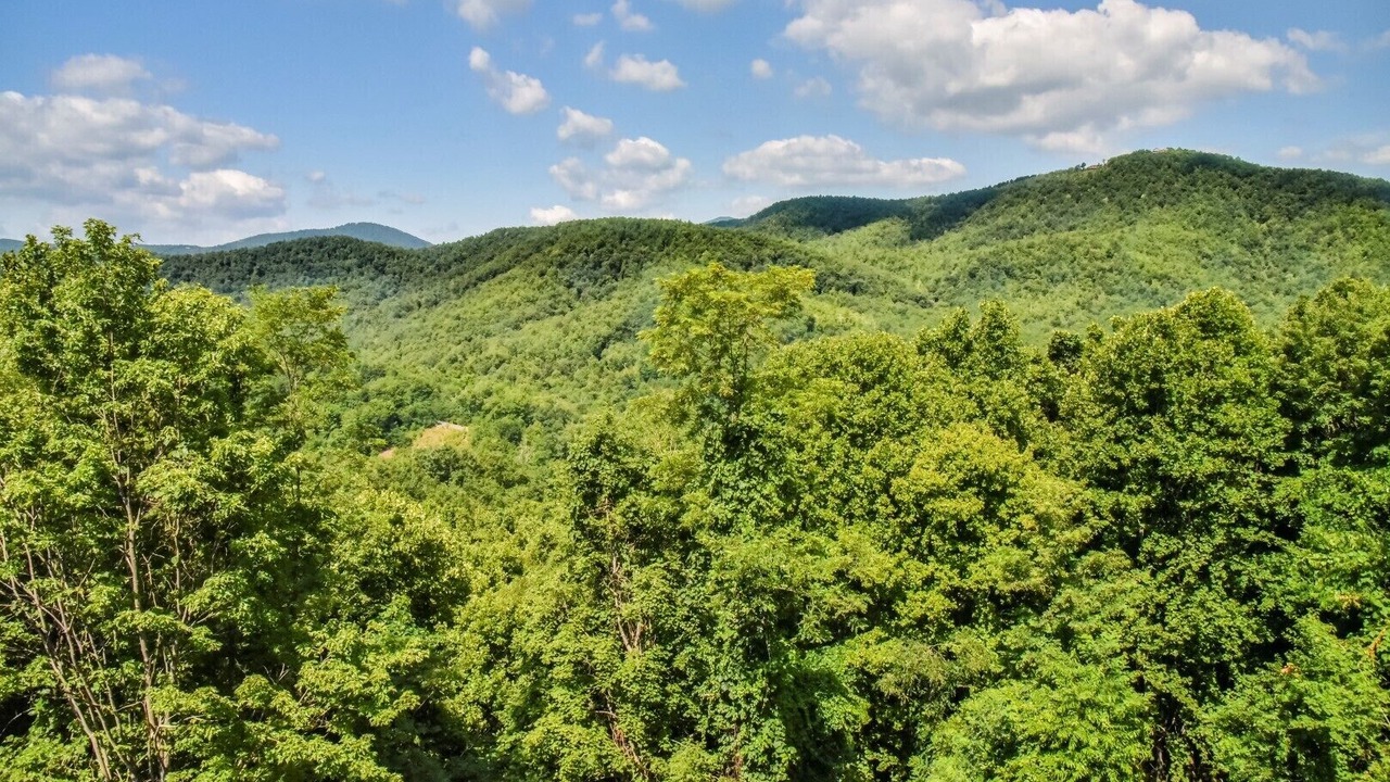 Photo of Others in Black Mountain