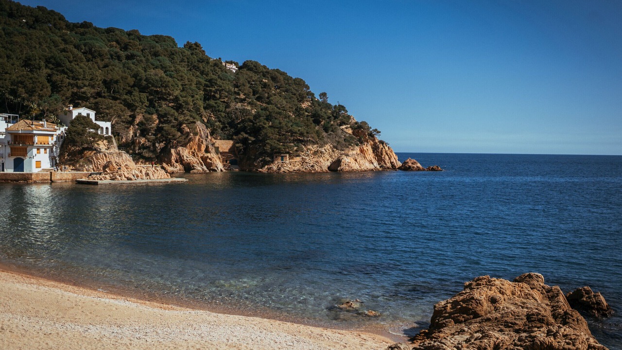 Photo of Others in Tamariu