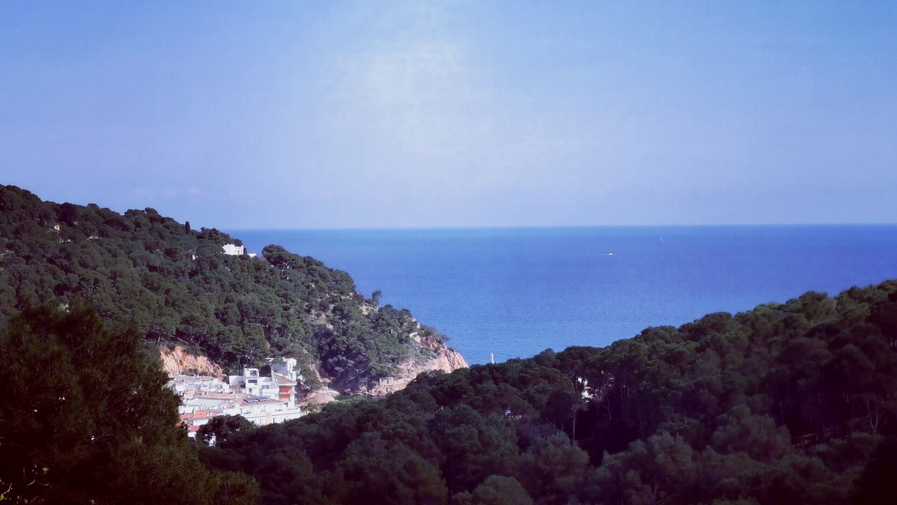 Photo of Others in Tamariu