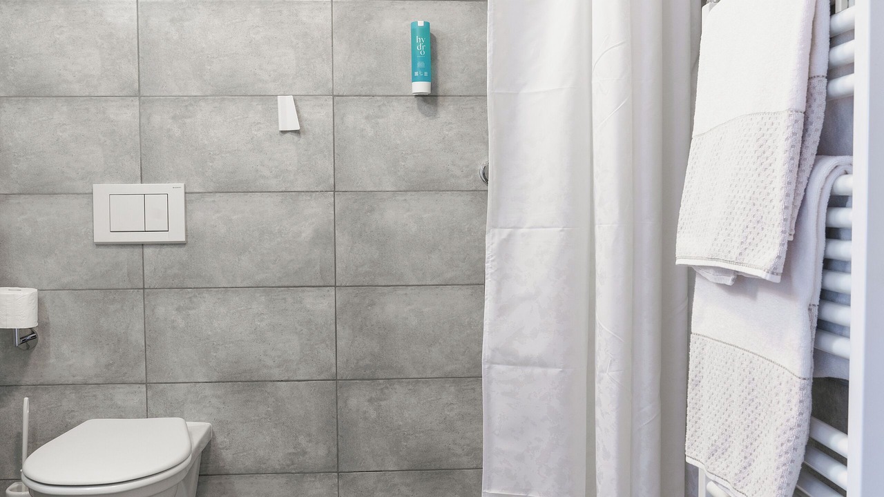 Photo of Bathroom in Poschiavo