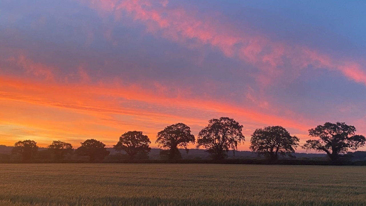 Photo of Others in Holworth