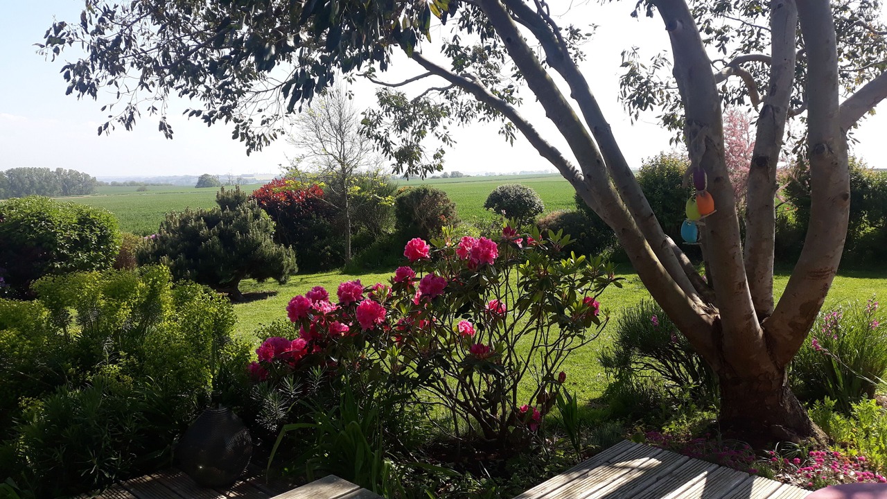 Photo of Outdoor in Sainte-Marguerite-sur-Mer