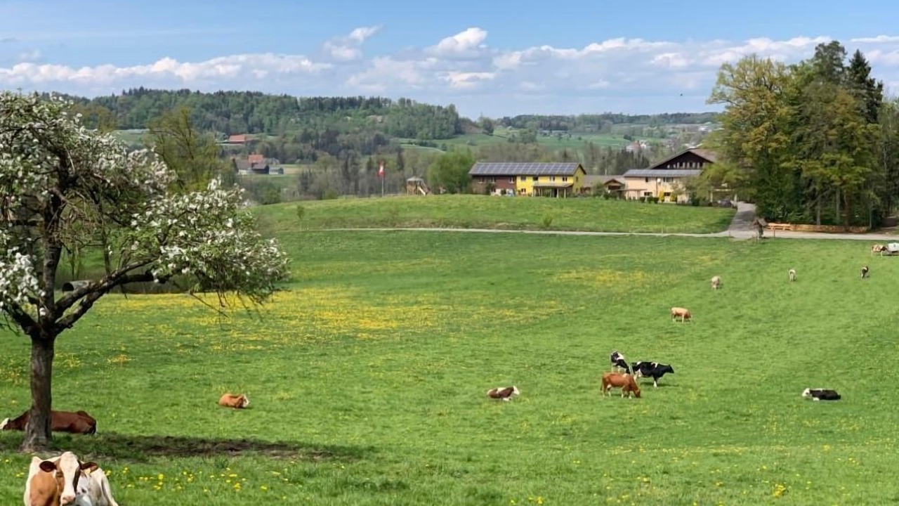 Photo of Others in Hauptwil-Gottshaus