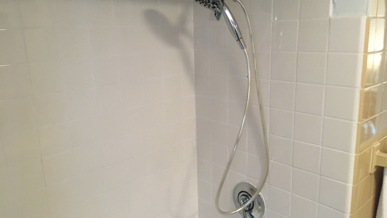 Photo of Others in Longmeadow