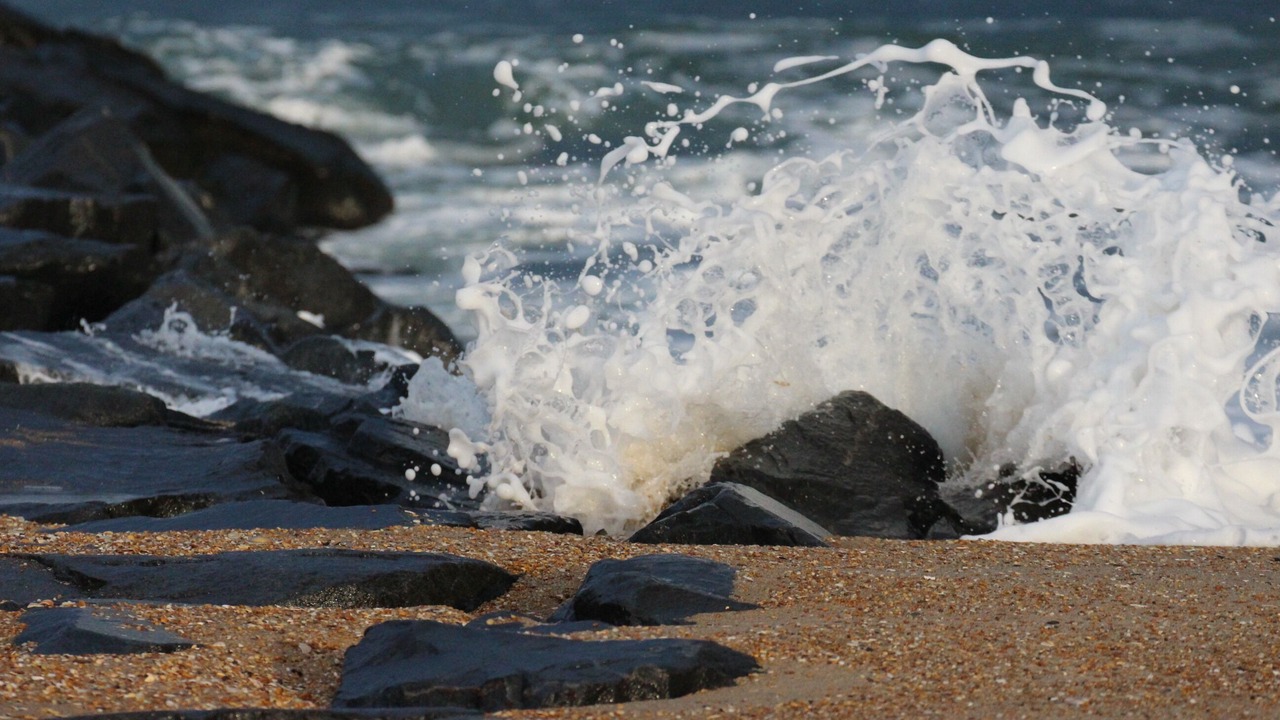 Photo of Others in Manasquan