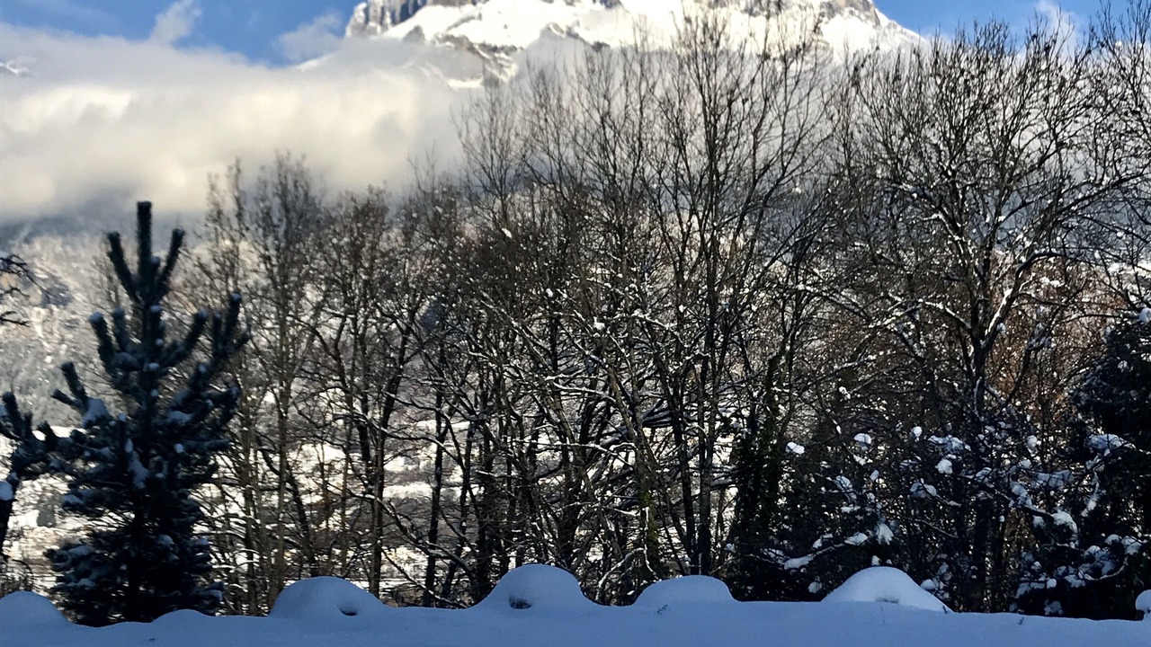 Photo of Others in Sallanches