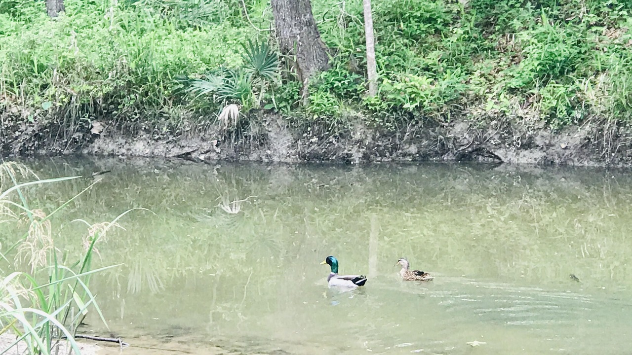 Photo of Outdoor in Coldspring