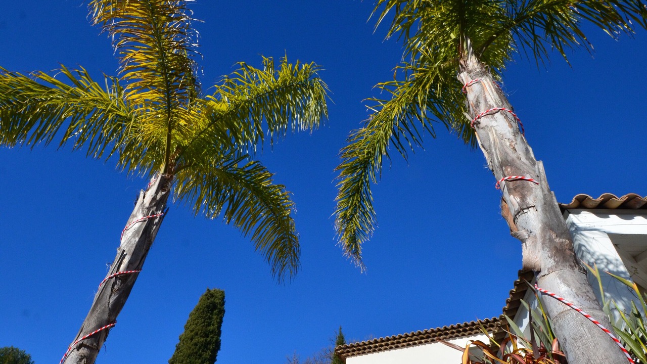 Photo of Outdoor in Le Tignet