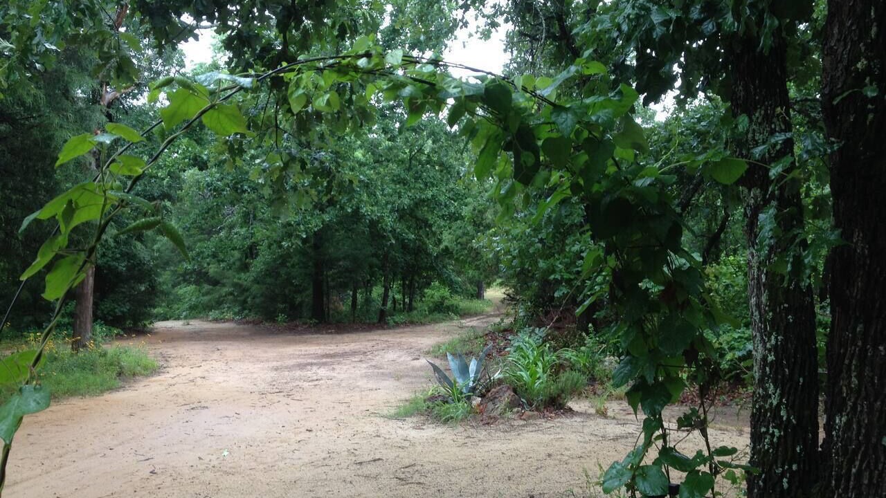Photo of Others in Van Zandt County