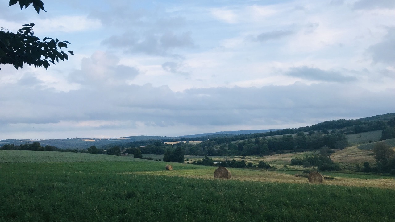 Photo of Outdoor in Clearview