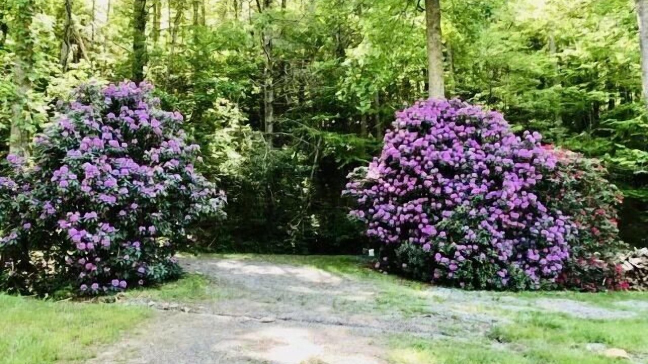 Photo of Outdoor in Hiawassee