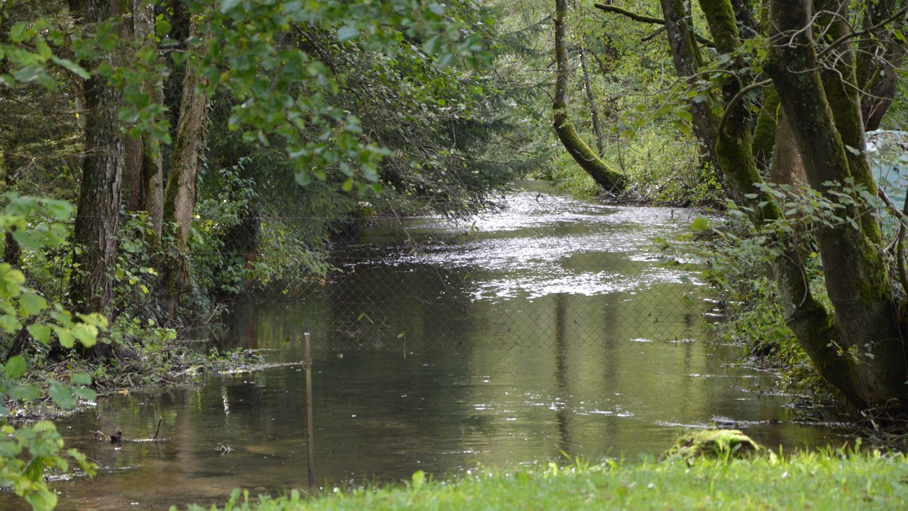 Photo of Outdoor in Dieue-sur-Meuse