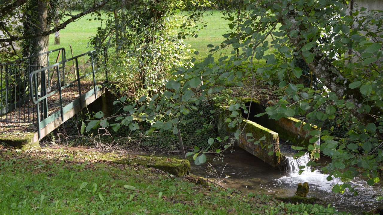 Photo of Outdoor in Dieue-sur-Meuse