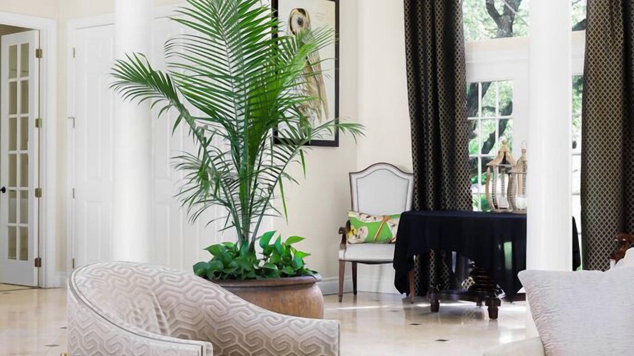 Photo of Livingroom in Georgetown