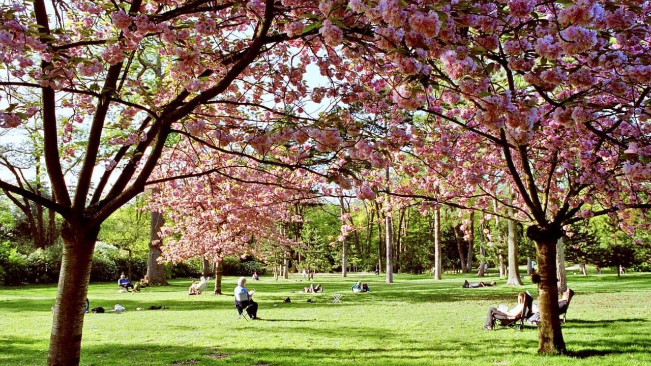 Photo of Others in Neuilly-sur-Seine