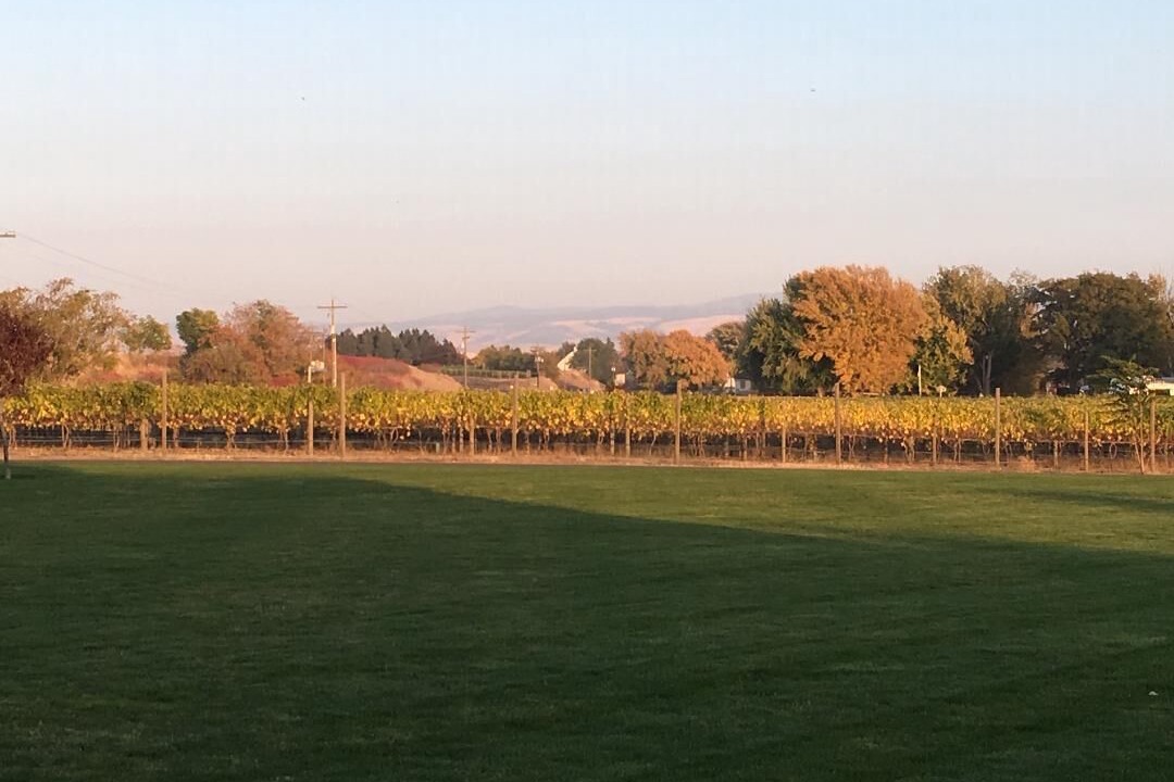 Photo of Others in Walla Walla