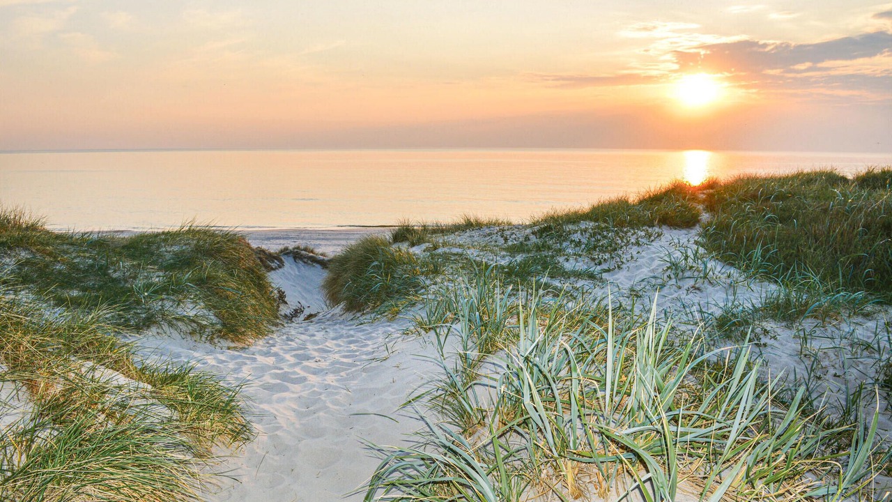 Photo of Others in Grærup Strand
