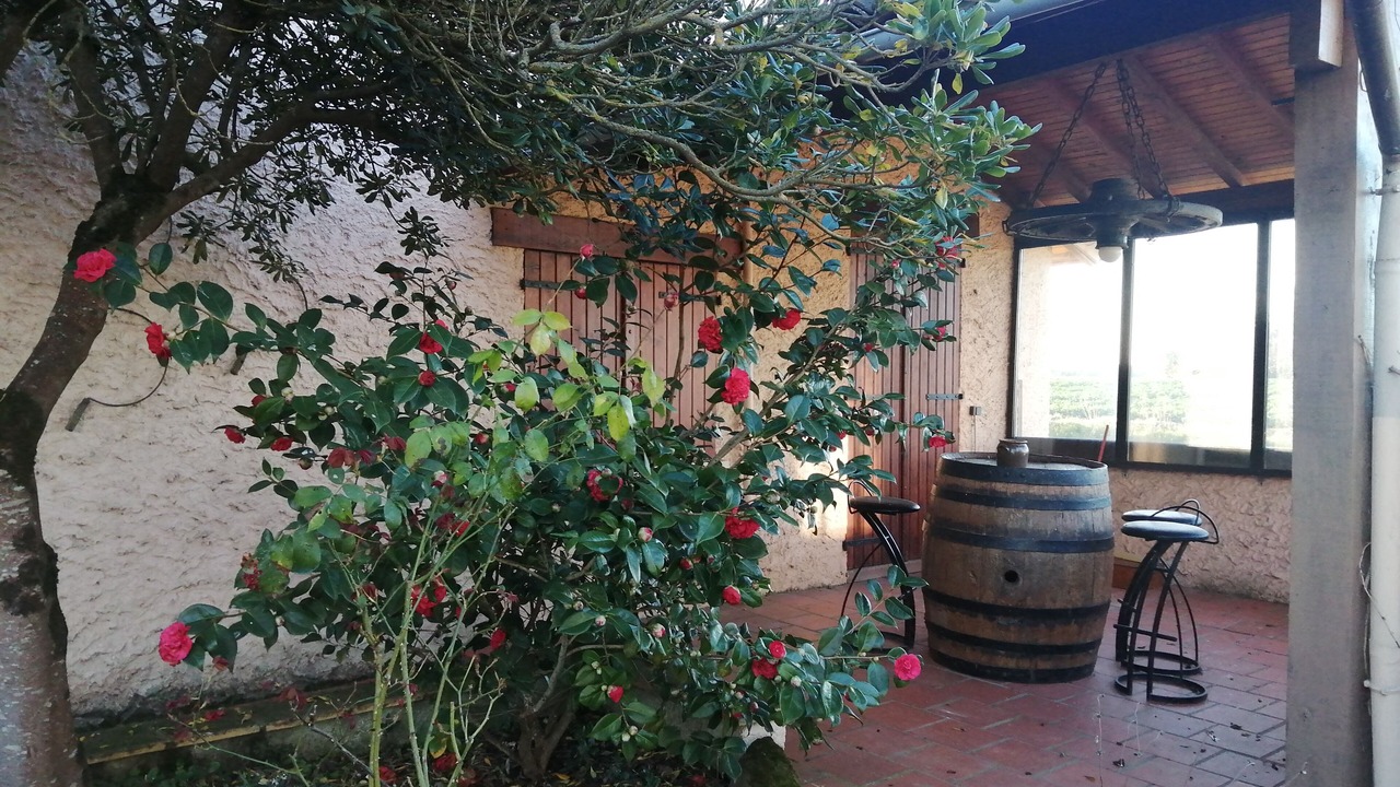 Photo of Patio Balcony in Savenes