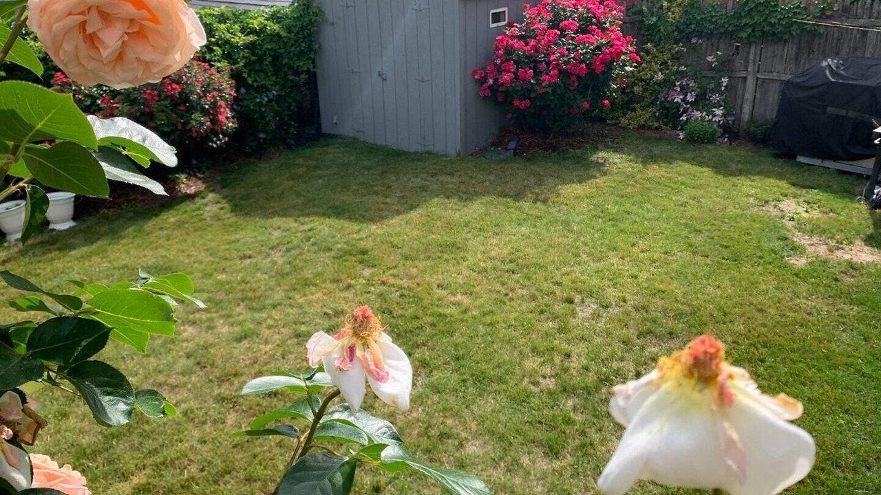 Photo of Outdoor in Revere