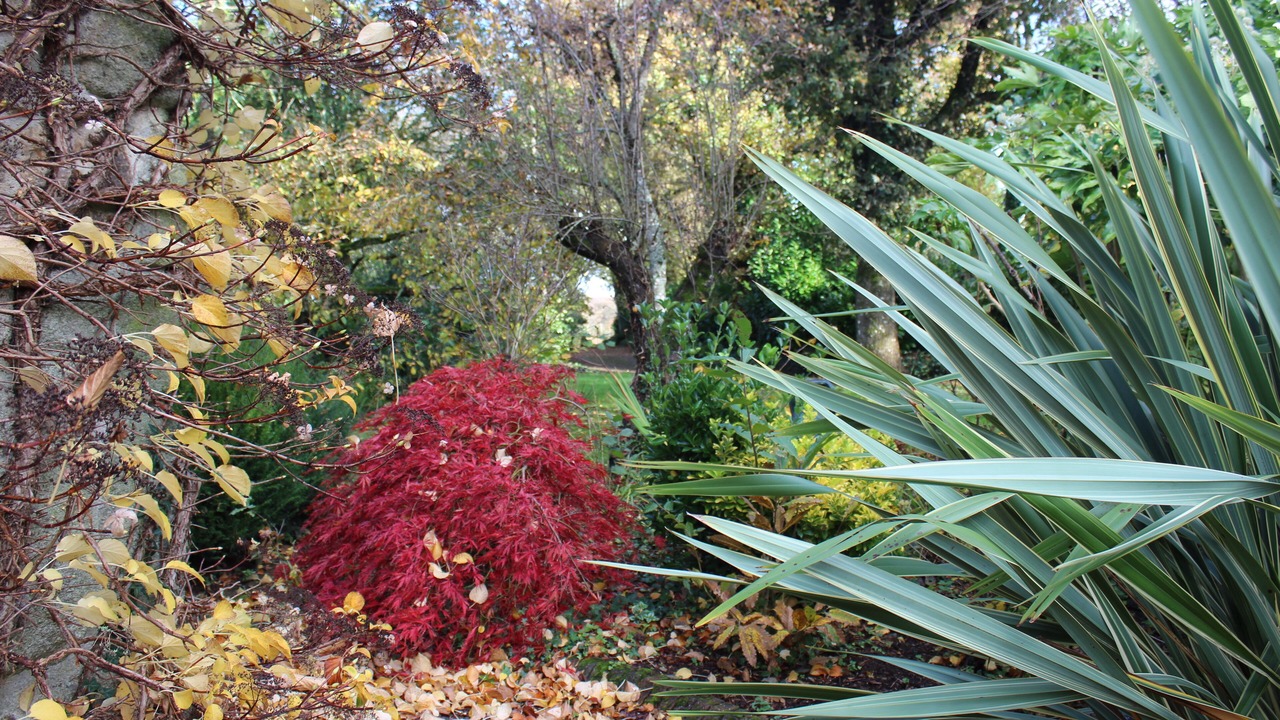 Photo of Outdoor in Mauron