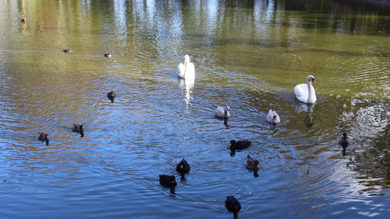 Photo of Others in Mauron