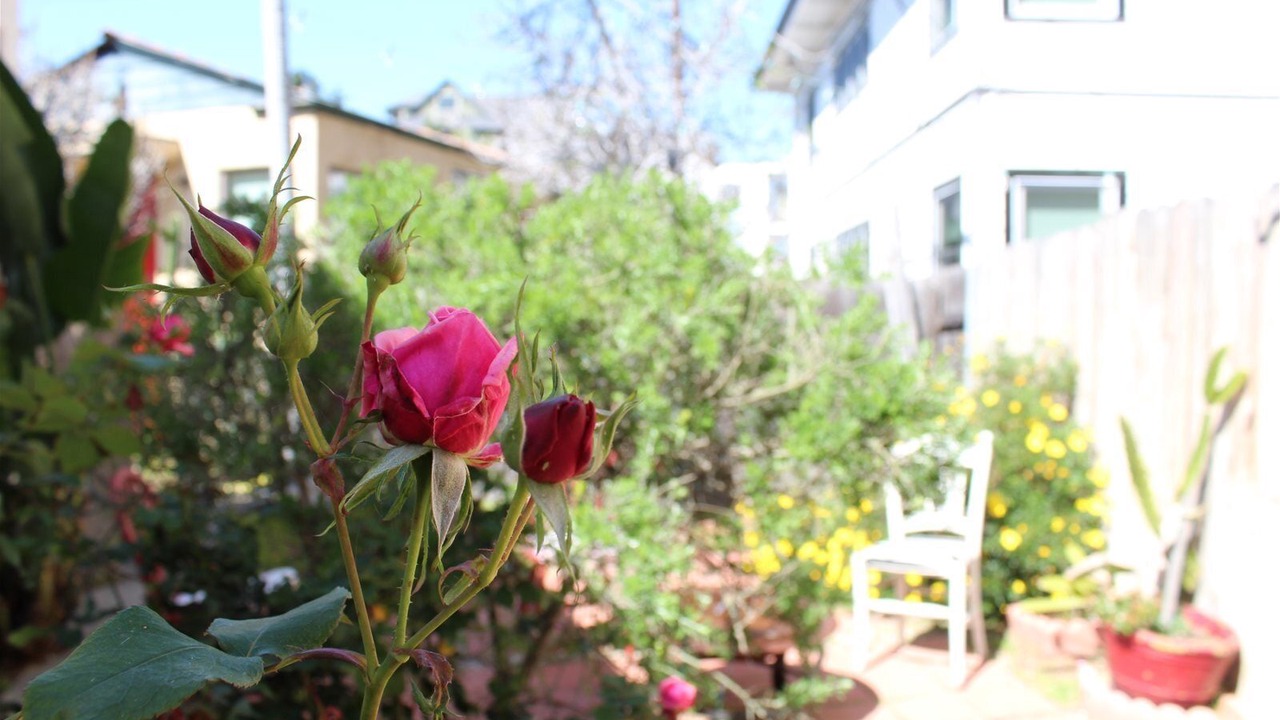 Photo of Outdoor in Bankers Hill