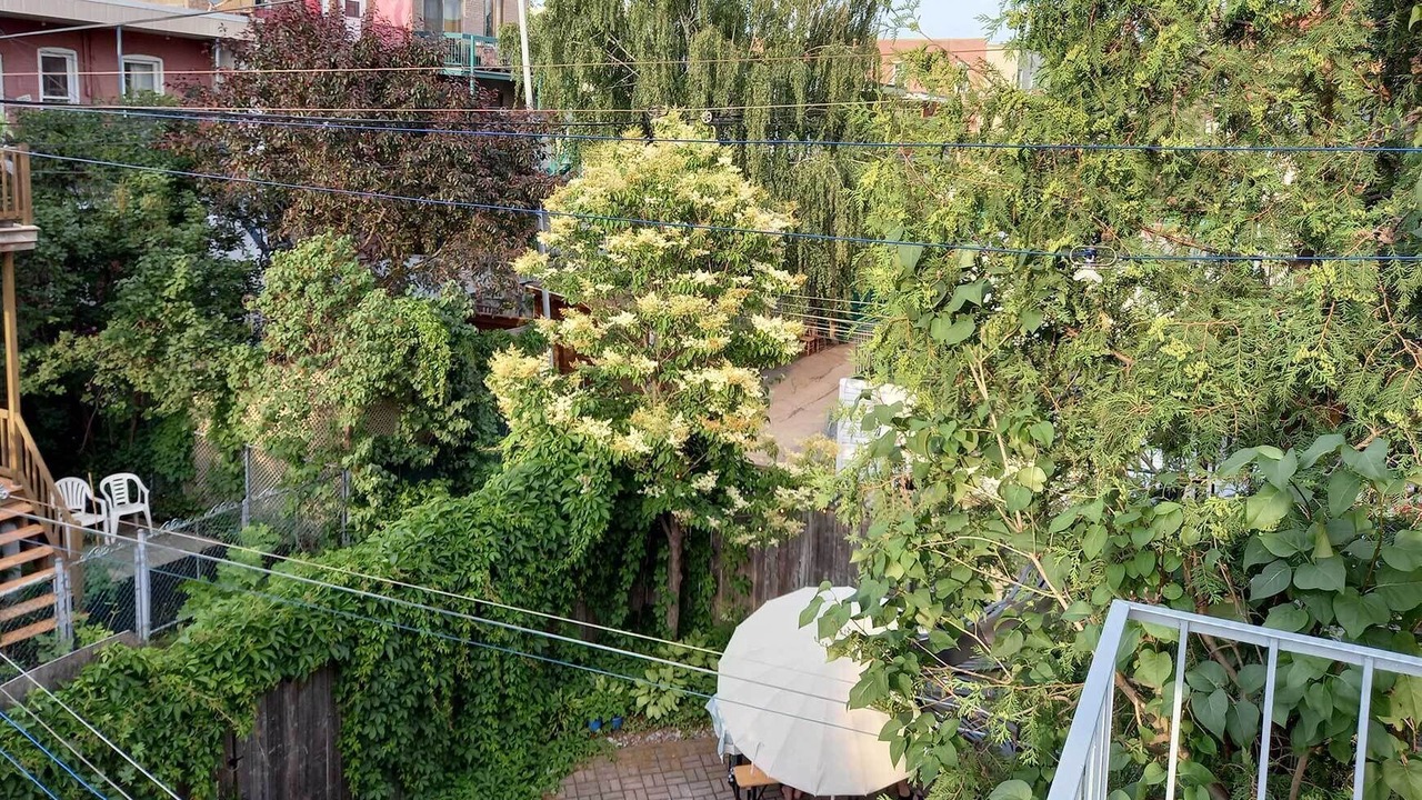 Photo of Outdoor in Villeray