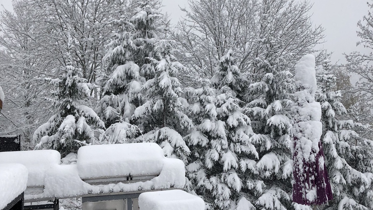 Photo of Outdoor in La Bresse