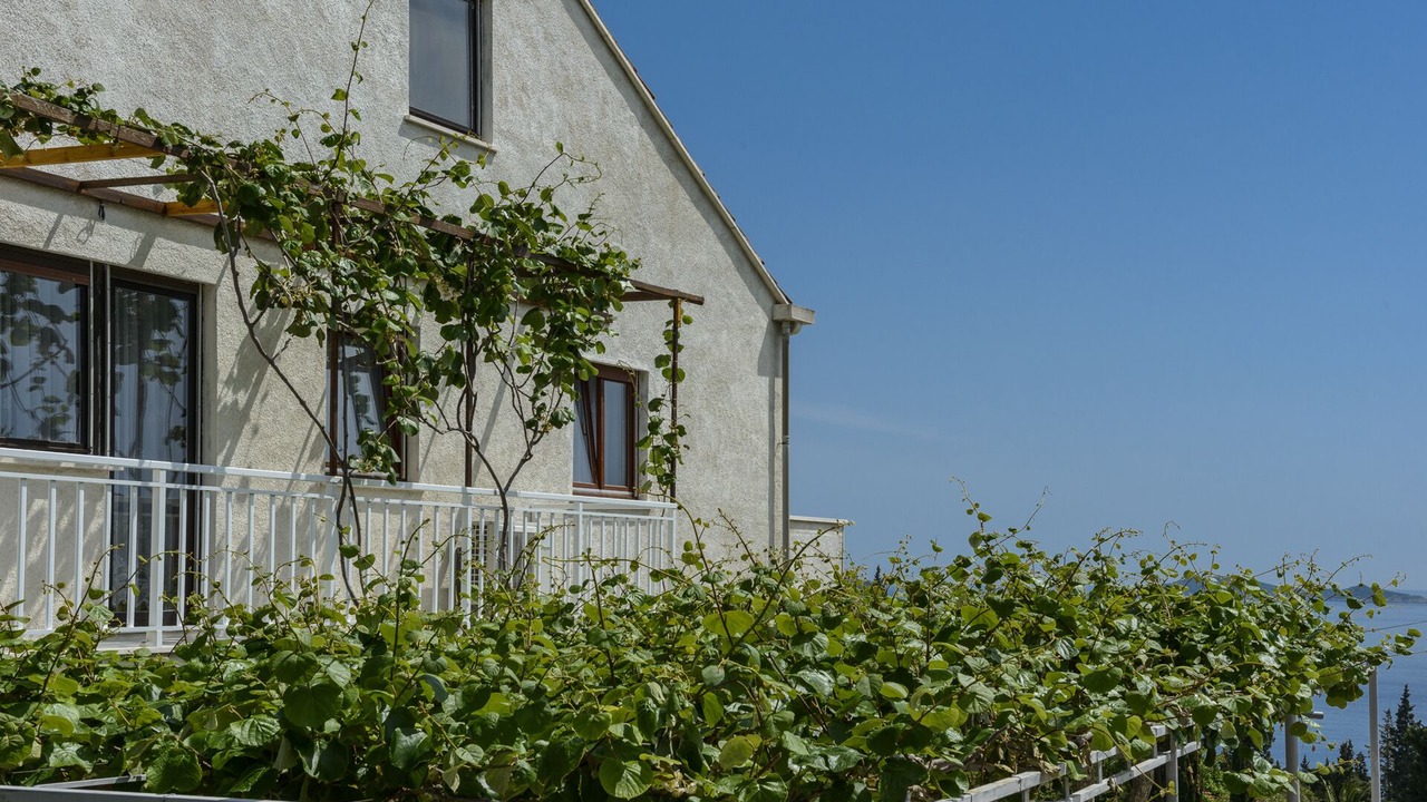Photo of Outdoor in Mlini
