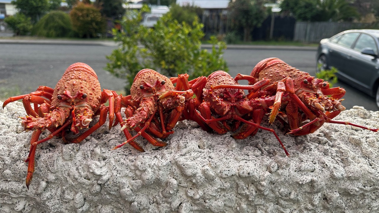 Photo of Others in Haumoana