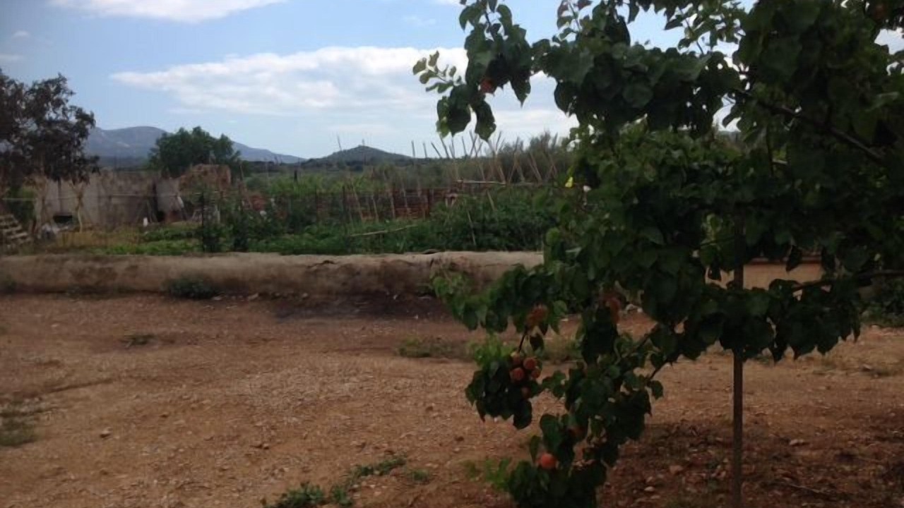 Photo of Outdoor in Masdenverge