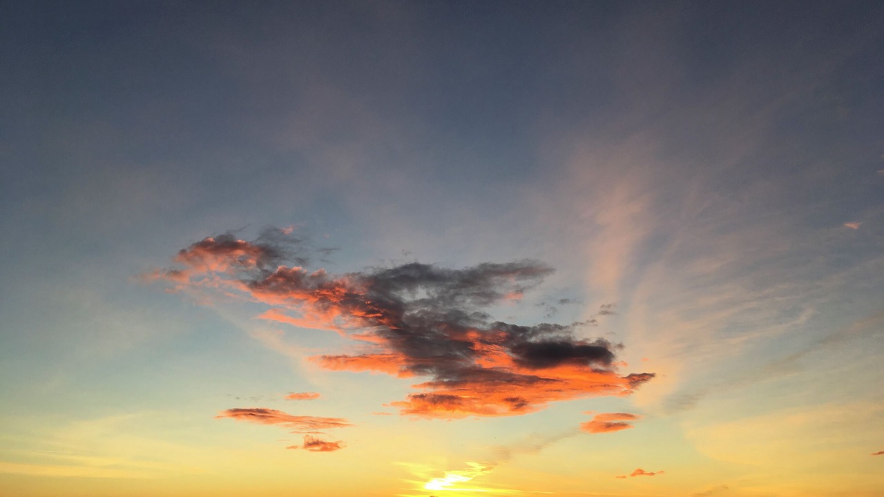 Photo of Others in Fortrose