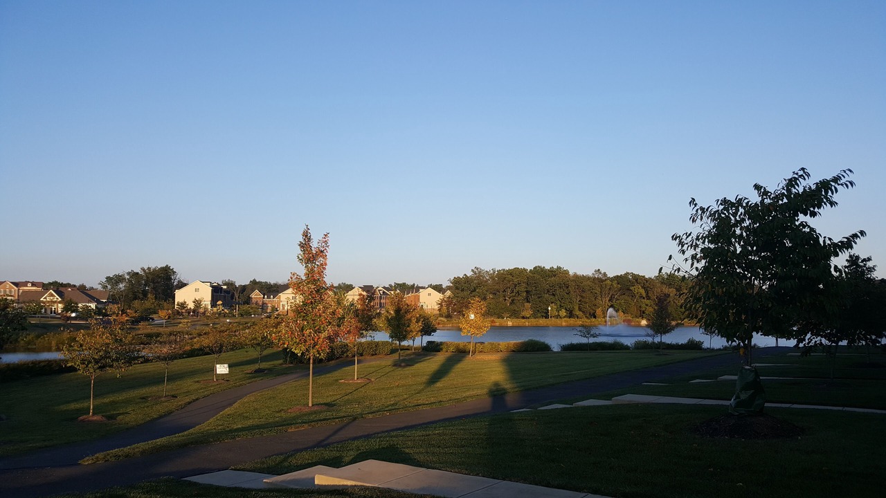 Photo of Others in Chantilly