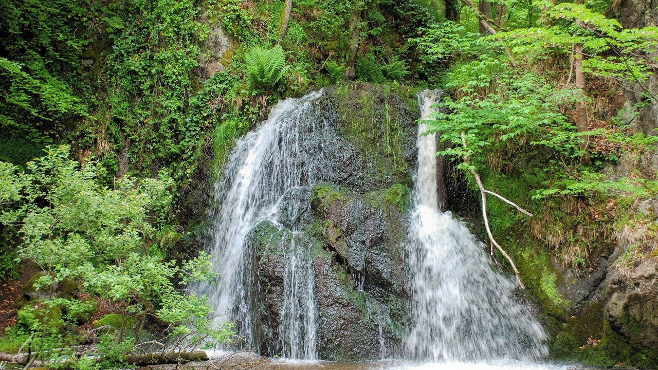 Photo of Others in Fortrose