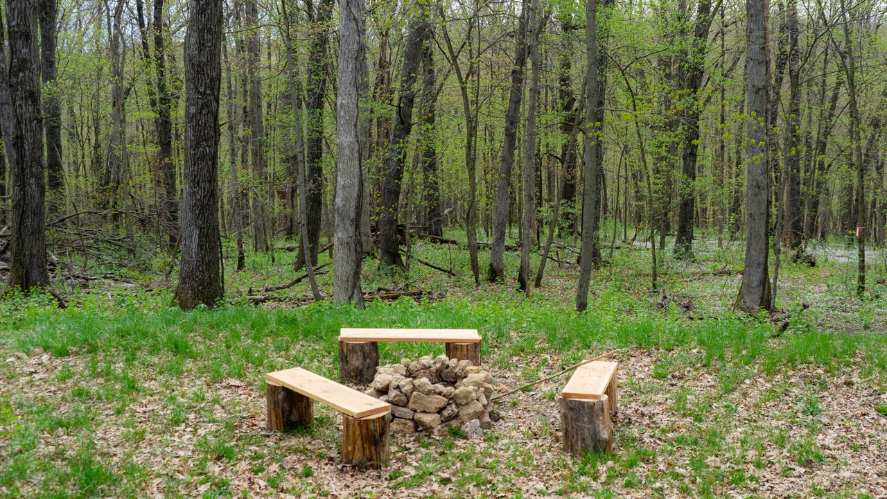 Photo of Others in Viroqua