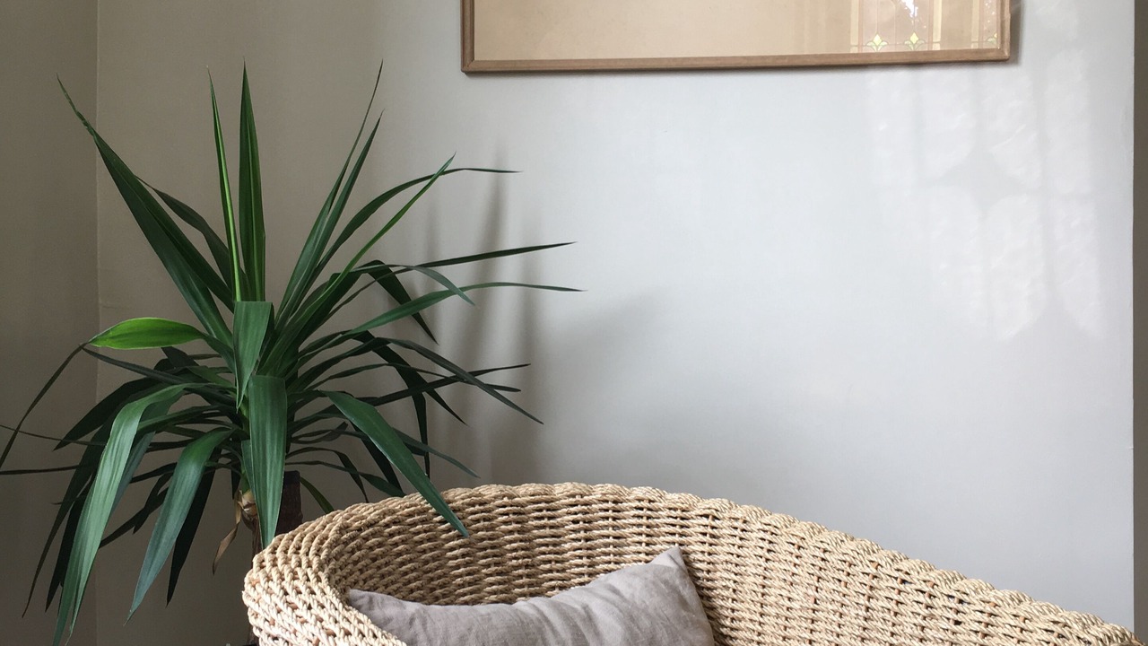 Photo of Others in Bragny-sur-Saone