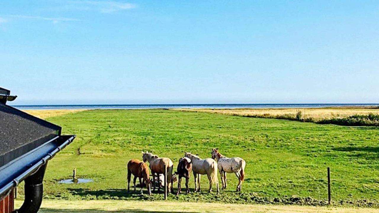 Photo of Others in Nordost