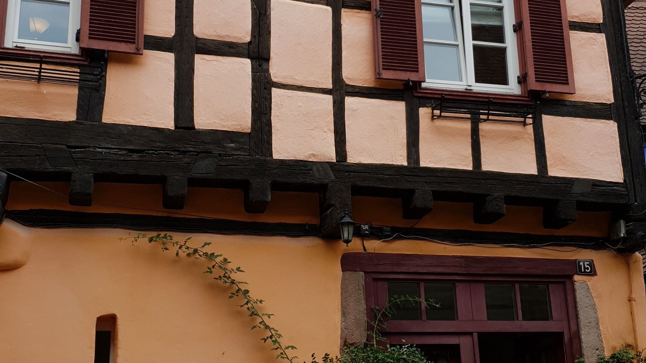 Photo of Outdoor in Riquewihr