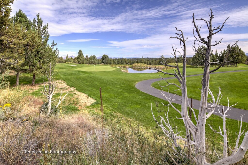 Photo of Outdoor in Redmond
