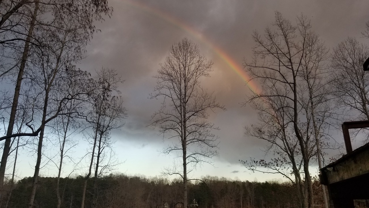 Photo of Others in Roxboro